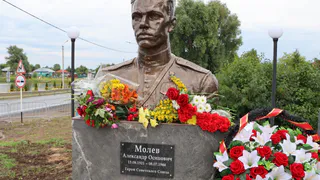 Во Владимирской области открыли бюст летчика, Героя Советского Союза Александра Молева