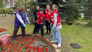 У главного входа больницы Скорой помощи во Владимире создали цветочные композиции
