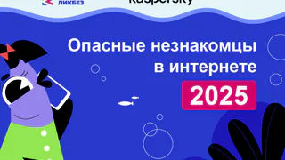 Во Владимирской области стартует проект по обучению школьников методам защиты от онлайн-груминга