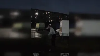 Во Владимире заключили под стражу мигранта, угрожавшего девушке из-за срубленной ёлки