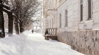 Владимирские синоптики назвали самые снежные дни января