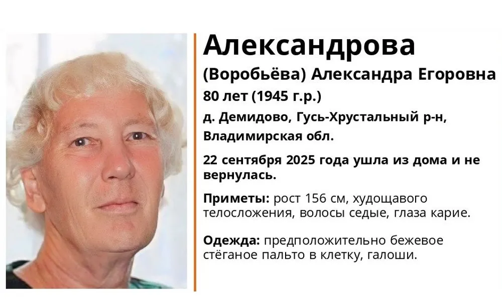 Во Владимирской области ищут пропавшую 80-летнюю женщину из деревни Демидово