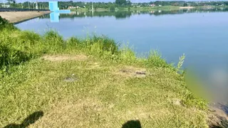 В Кольчугине на берегу Пекши нашли тело 16-летнего подростка