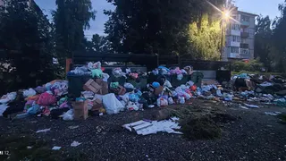 Владимирской компании грозит серьезный штраф за срыв вывоза мусора