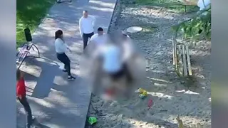 Суд вынесет приговор двум избившим мужчину на детской площадке парка Собинки