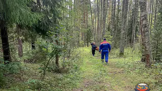 Владимирские спасатели за день нашли заблудившуюся женщину и вынесли тело погибшего из болота