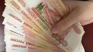 В Кольчугинском районе должник выплатил долг только после запрета на сделки с имуществом