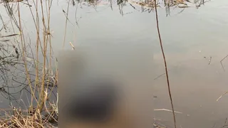 В Собинском муниципальном округе пропавшего рыбака нашли мертвым