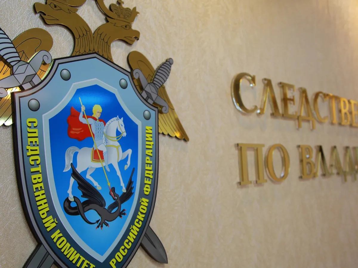 Экс-директор владимирской больницы украла 1,1 млн через зарплату фиктивного работника
