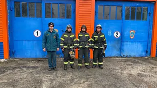 Дачники из Петушинского района поблагодарили МЧС за спасение домов от крупного пожара