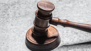 Во Владимирской области женщина украла древесину на 1 млн рублей