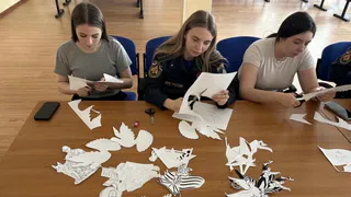 Во Владимирской области провели акцию «Окна Победы»