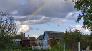 Отправляем в выгребную яму необычную природную смесь и диву даёмся — отложения разлагаются, а жидкость и ароматы растворяются: нужны лишь пару растений с участка
