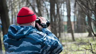 Пропавшую во Владимирской области женщину нашли