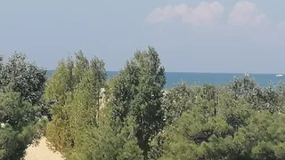 «Теперь выбора не будет»: введен новый запрет по отпускам для россиян
