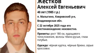В Ковровском районе разыскивают пропавшего 40-летнего мужчину из посёлка Малыгино