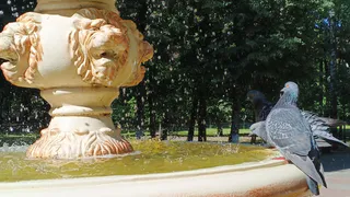 «Июнь, июль и август будут аномальными»: метеорологи обновили прогноз на лето