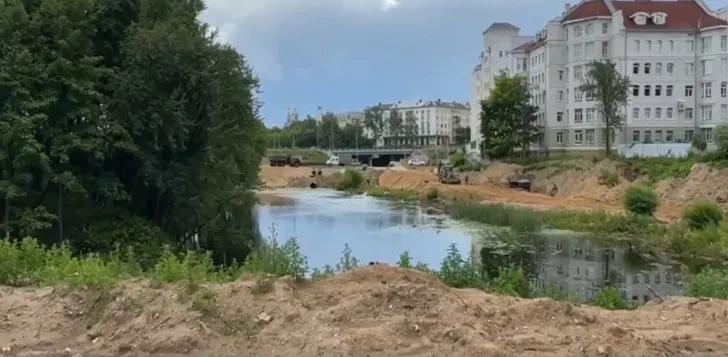 Владимирские экологи спасают растения и рыбу перед благоустройством парка у ДЮТ