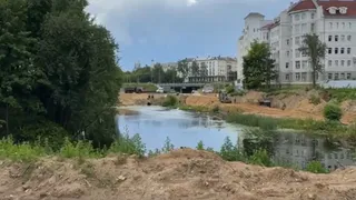 Владимирские экологи спасают растения и рыбу перед благоустройством парка у ДЮТ
