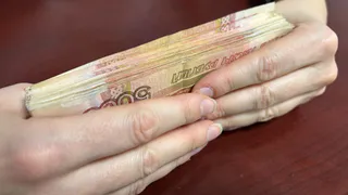 В Петушках осудили экс-председателя СНТ за хищение 2 миллионов рублей