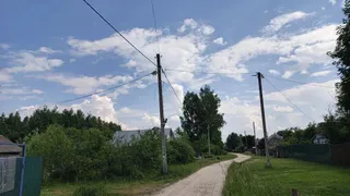 В ЛЭП собинской деревни оголенные провода касались деревьев, а опоры покосились