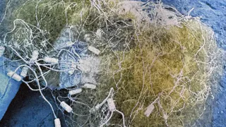 Меленковец по решению суда отработает незаконный лов рыбы в Окском заказнике