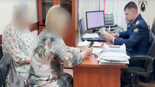 В Карабаново возбуждено новое дело о незаконной продаже земли чиновницей