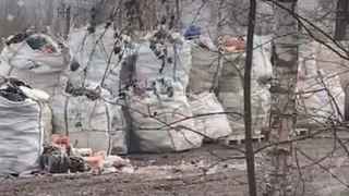 Следственный комитет начал проверку в связи с образованием болота из отходов у берега Клязьмы