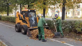Итоги первой недели октябрьской уборки: из Владимира вывезли 60 тонн мусора