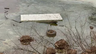 Во Владимире планируют облагородить  территорию парка у Дворца детского и юношеского творчества