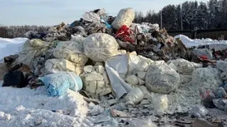 Экс-директор мусорного полигона под Киржачем сжигал отходы и отравлял почву