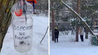 Владимирские школьники изготавливают и развешивают кормушки для птиц