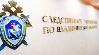 16-летнюю девушку из Меленок поймали на дропперстве