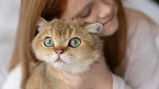15 способов сказать кошке «я тебя люблю» на её языке — советы зоопсихологов