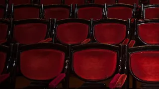 В области запускают уникальный проект по интеграции театра в образование