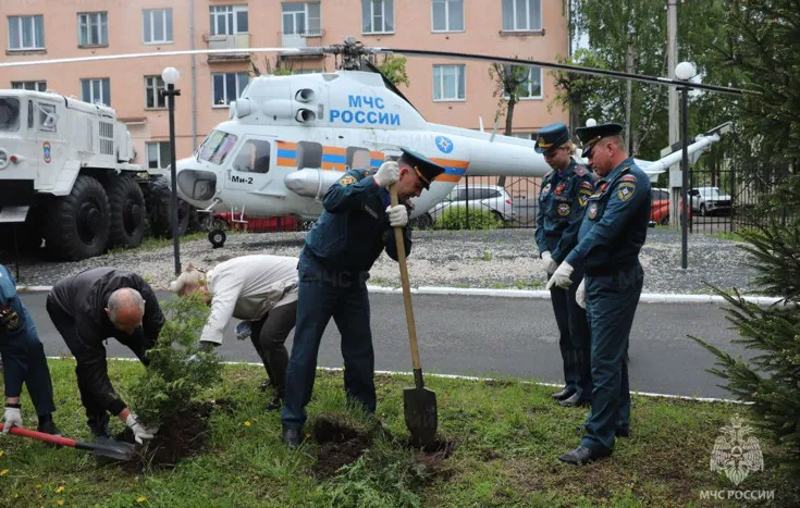 Сотрудники МЧС Владимирской области высадили восемь туй в память о погибших воинах