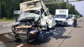 За прошлую неделю во Владимирской области в ДТП погибли 12 человек