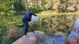 Водоемы областного центра очищают суспензией хлореллы