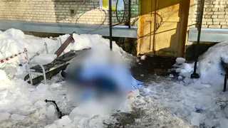 Из-за халатности директора УК сошедшая с крыши глыба убила пенсионерку