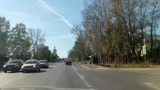 Огурцы дуреют с этой подкормки: рецепт от опытных садоводов – урожай на уровне промышленных теплиц