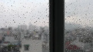 Окна больше потеть не будут: домохозяйки нашли необычное решение проблемы – о конденсате можно забыть