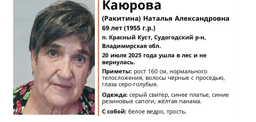 В Судогодском районе 69-летняя женщина ушла в лес и пропала безвестии