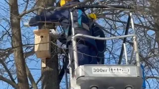 Владимирские школьники изготовили скворечники для парков города