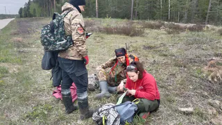 В мае во Владимирской области пропали 58 человек
