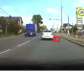 Ненужная преданность: брошенная собака бежала за авто хозяйки