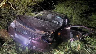За прошлую неделю во Владимирской области в ДТП погибли 7 человек и пострадали 58